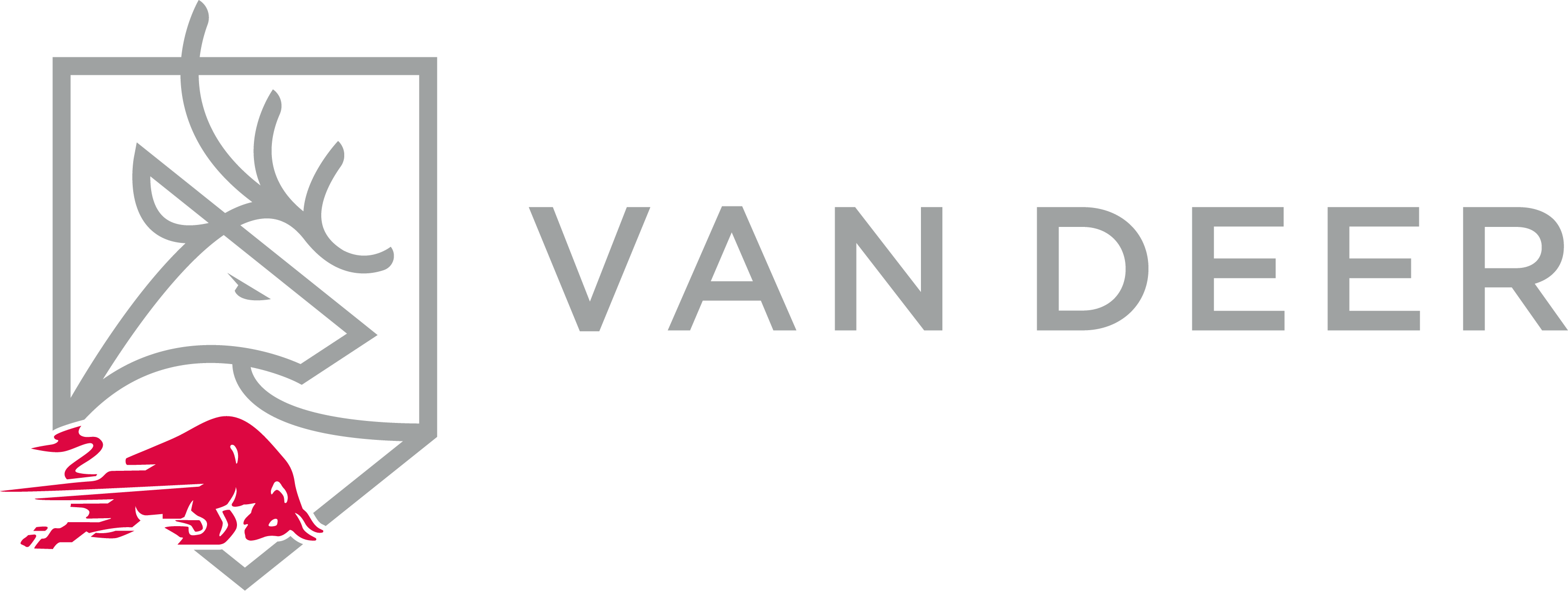 Esquís Van Deer: Avanza al siguiente nivel en las pistas con estilo y rendimiento excepcionales